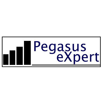 Pegasus Expert Logo