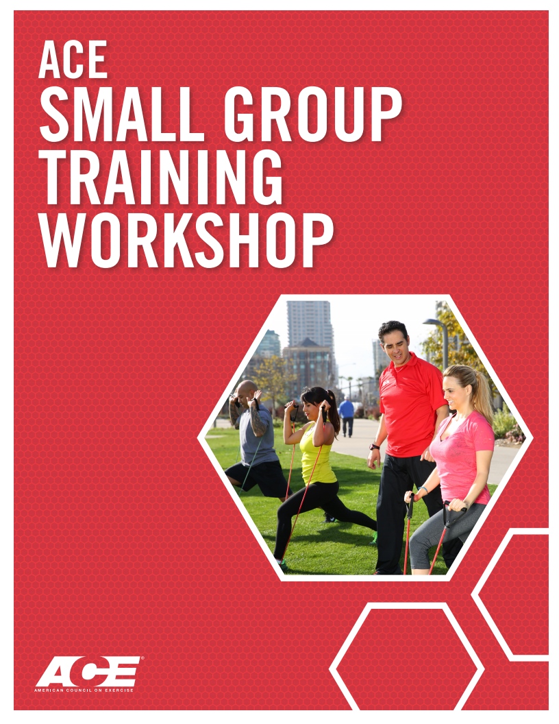 ACE Small Group Training Workshop cover