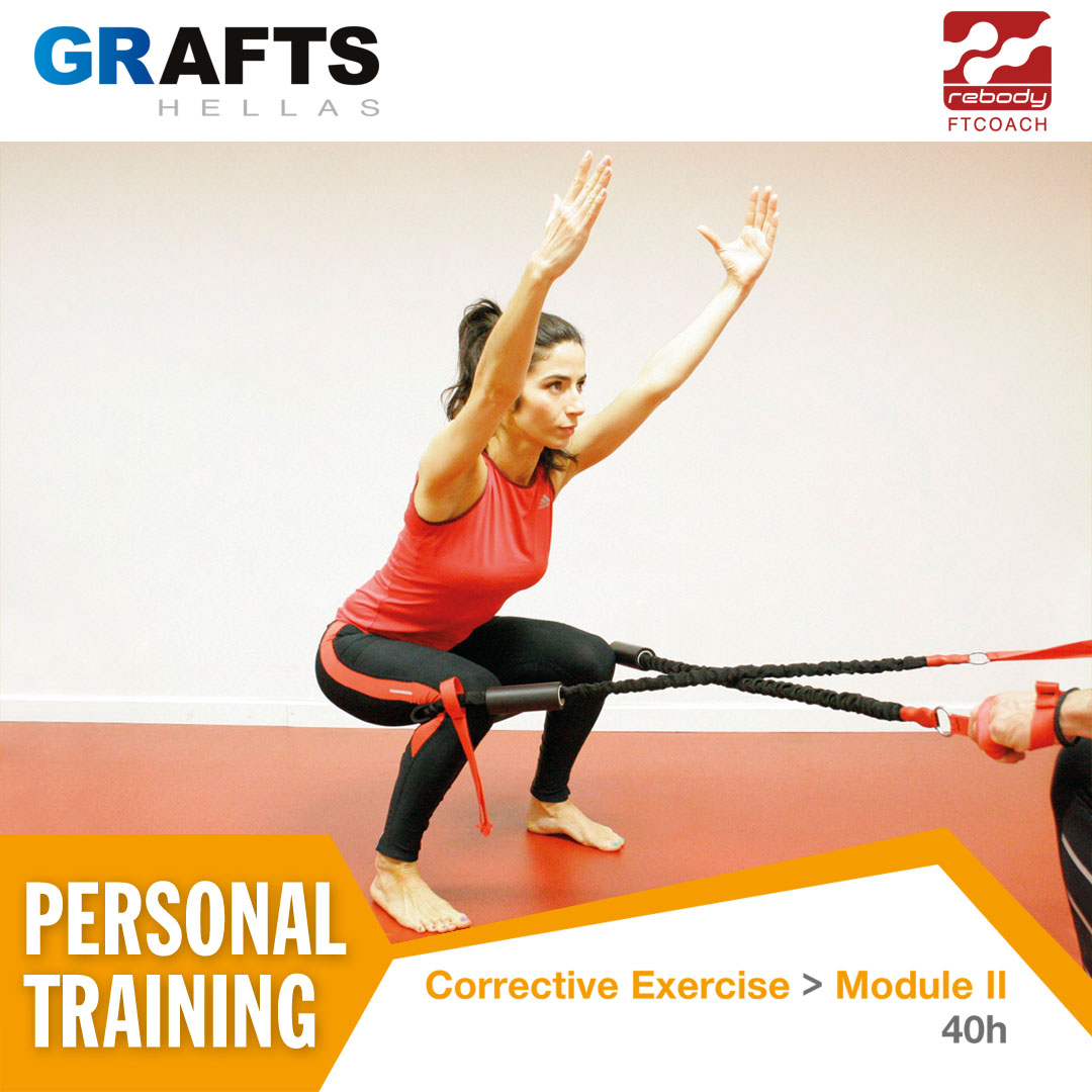 Grafts Hellas poster - Corrective Exercise Instructor by FT COACH - Module II Grafts Hellas poster - Corrective Exercise Instructor by FT COACH - Module II